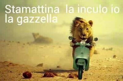 Alla Fraschetta di Roma