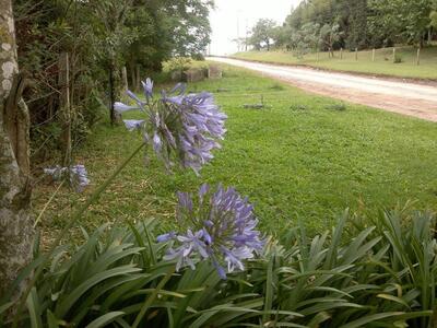 Restaurante Bela Vista
