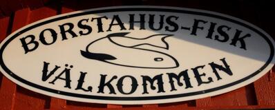 Borstahus Fisk