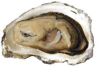 RM Ostras e Frutos do Mar Iguape SP