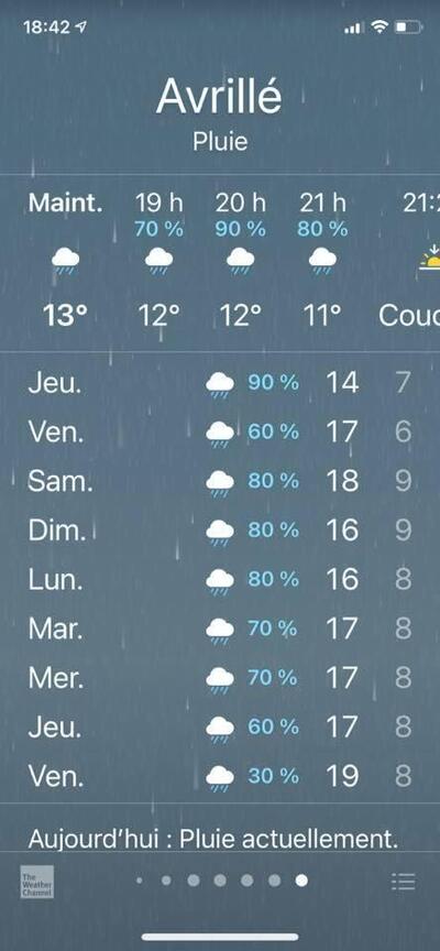 le cavier