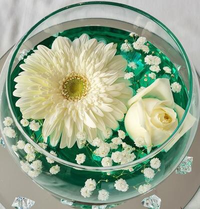 Zenit restaurant Ostia