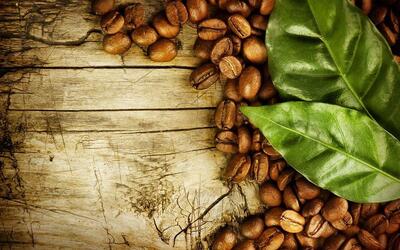 Coffee Brake