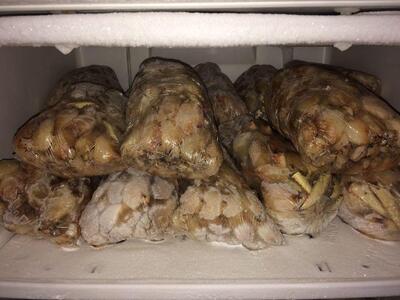 Pescados Pai D'égua Belem do Pará PA