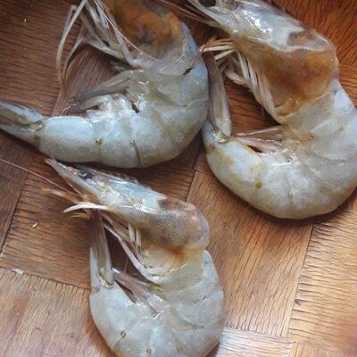 Delícias D'Marcia Rio de Janeiro RJ foto