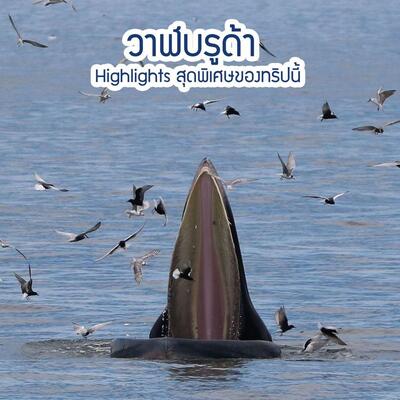 ร้านเจ๋ง ครัวชายทะเล Muang Samut Sakhon