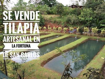 Complejo Turístico Tesoro Escondido