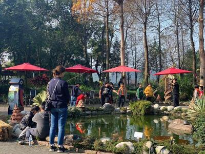 河岸森林農莊 手創料理餐廳 Taoyüan