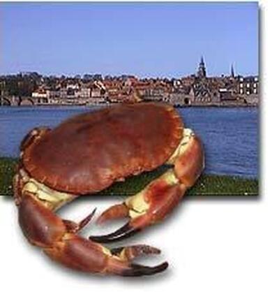 Factory seafood shop
