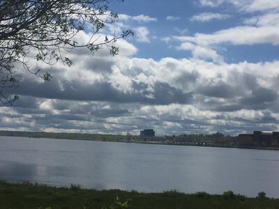 Jobie's Mobile Kitchen