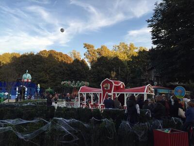 BAR Bistrot Savelli foto