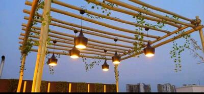 Da Yellow Cane photo