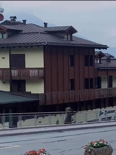 Ristorante La Buca Folgarida