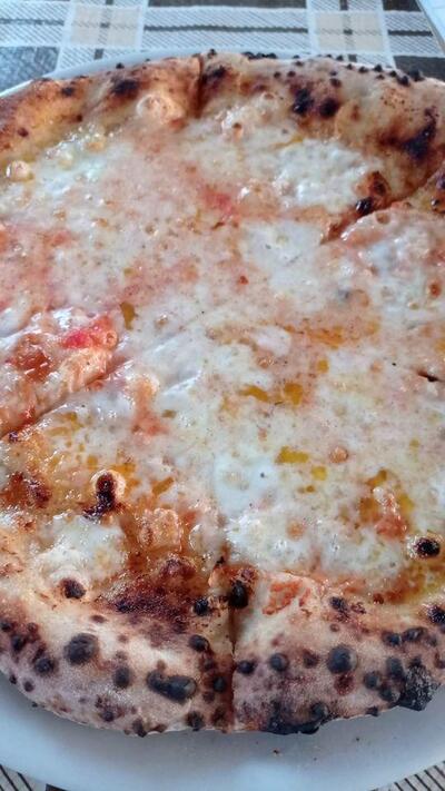 Alberone Alife Alife