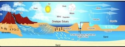 Sea Minerals USA