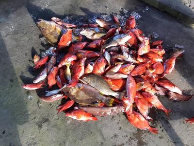 烏石鼻海鮮餐廳