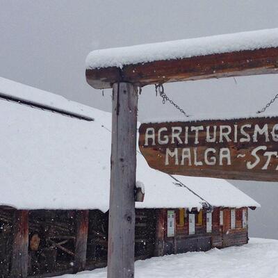 Agritur Malga Stia