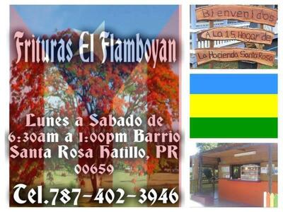Frituras El Flamboyán