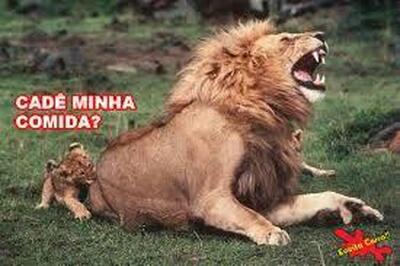 Kco's Restaurante foto