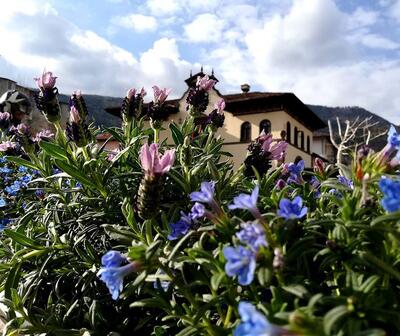 Bar cacciatore -l'aroma all'angolo