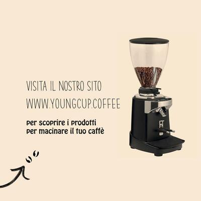 Young Cup Coffee