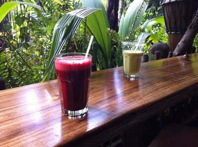 Sweet Leaf Living Foods