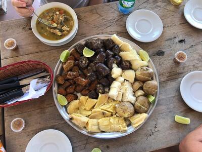 La mamona Campestre