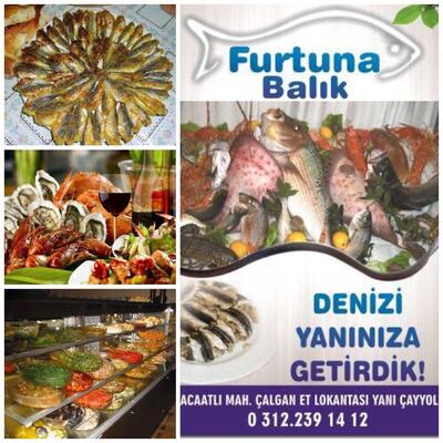 furtuna balık