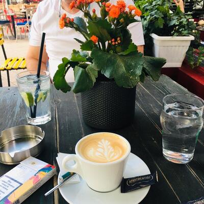 Cafe Bar Restaurant Apartment 197