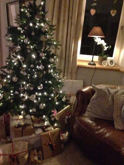 Open Up Farm Distillery