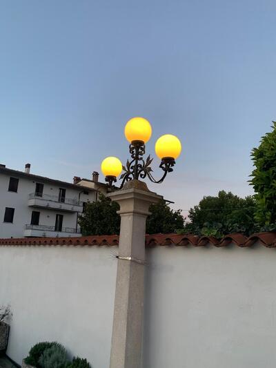 Storione