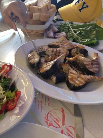 Alanya Mercan Balık Evi