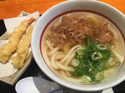 自家製麺うどん 至誠 (しせい)