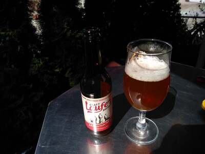 Laufer Craft Brewery