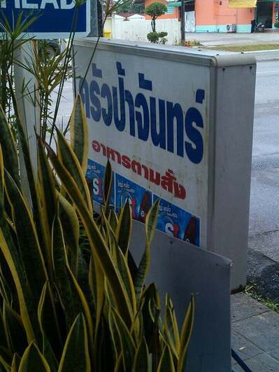 ครัวป้าจันทร์