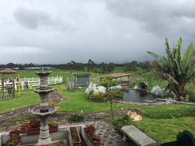 Sur Campestre