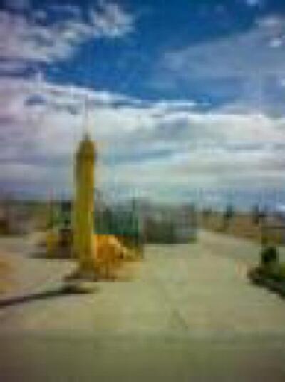 G7 DI CARDELLI RITA & C . SNC