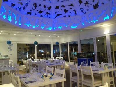 Fish & Sushi