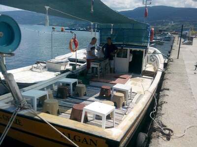 Köşem Balık