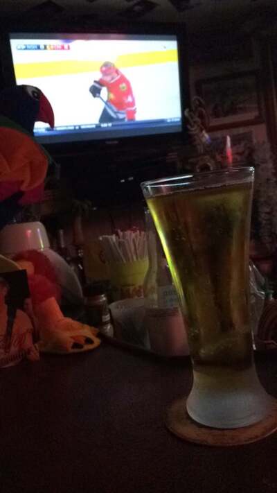 The Parrot Head Lounge