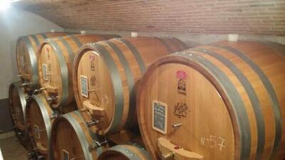 Cantina Antolini
