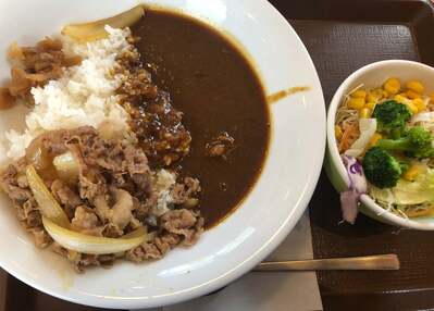 すき家 248号幸田大草店