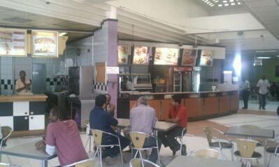Steers