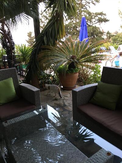 Galabalık Restaurant