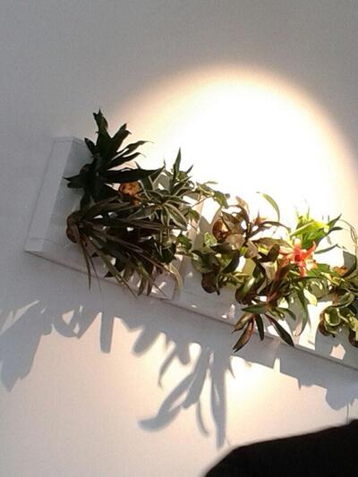 Ristorante Main Kitchen