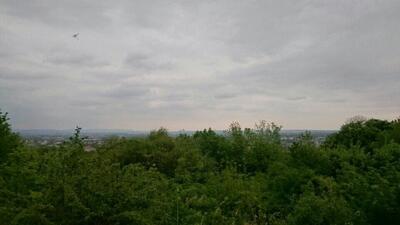 Panorama-Restaurant Haus an der Weinstraße