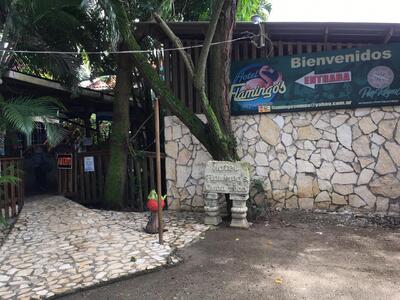 Restaurante Flamingos - 50% de descuento con BACCredomatic