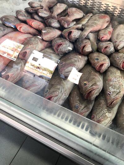 Nawakhed Al Saudia Fisheries