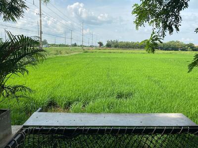 มันดี กล่อง กลาง ทุ่ง