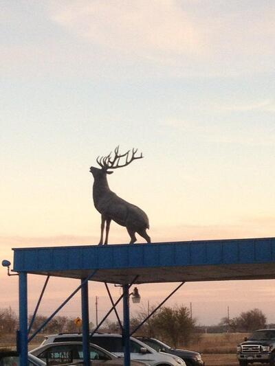 Elks Lodge 811